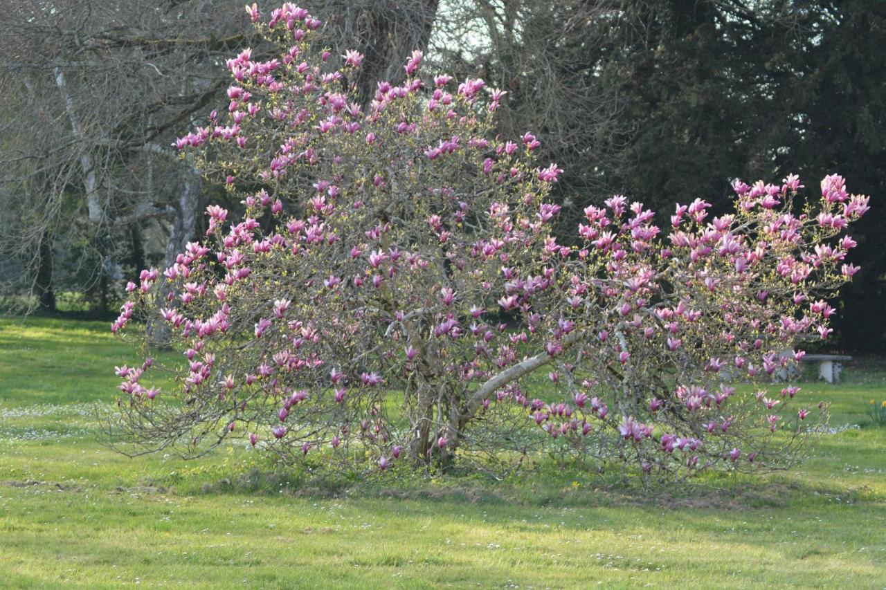 Gite La Grande Racinaie Cre-sur-Loir Exteriér fotografie